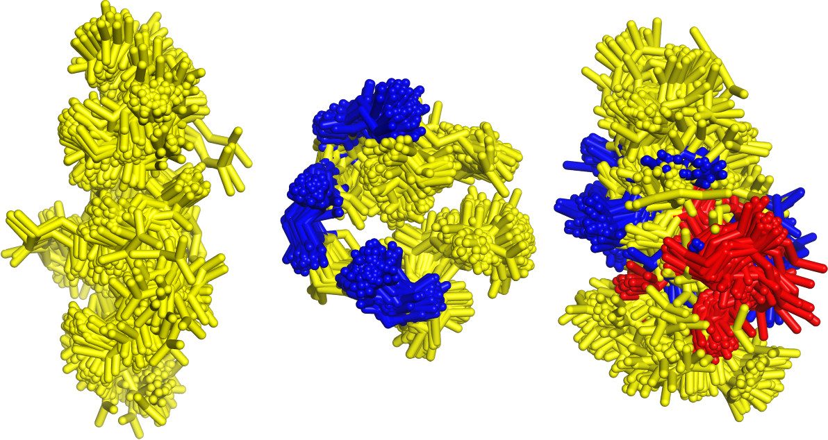 Graphic illustrating peptide and peptidomimetic dynamics